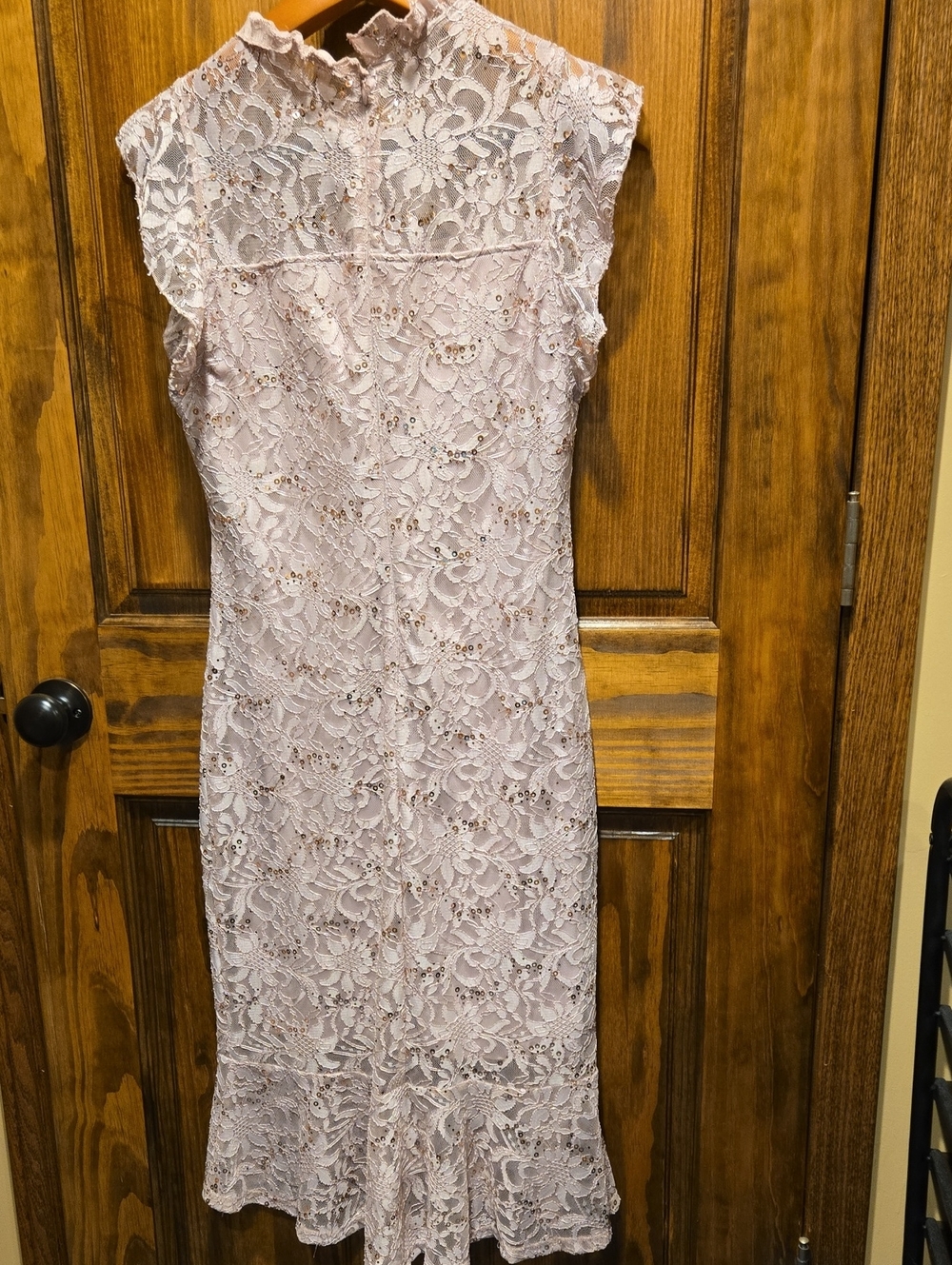 Enfocus Studio Light Blush Lace Midi Dress